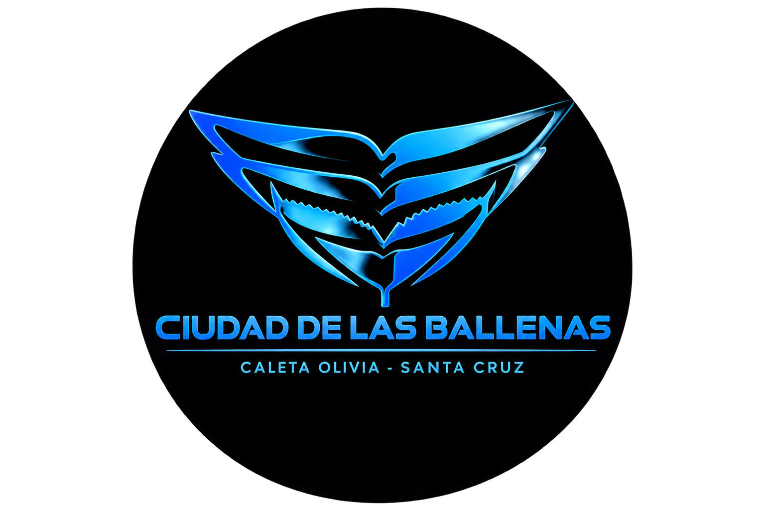 Ciudad Ballenas